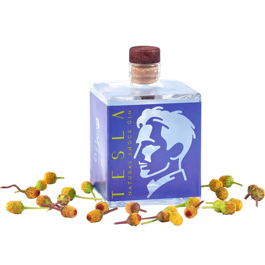 GIN TESLA